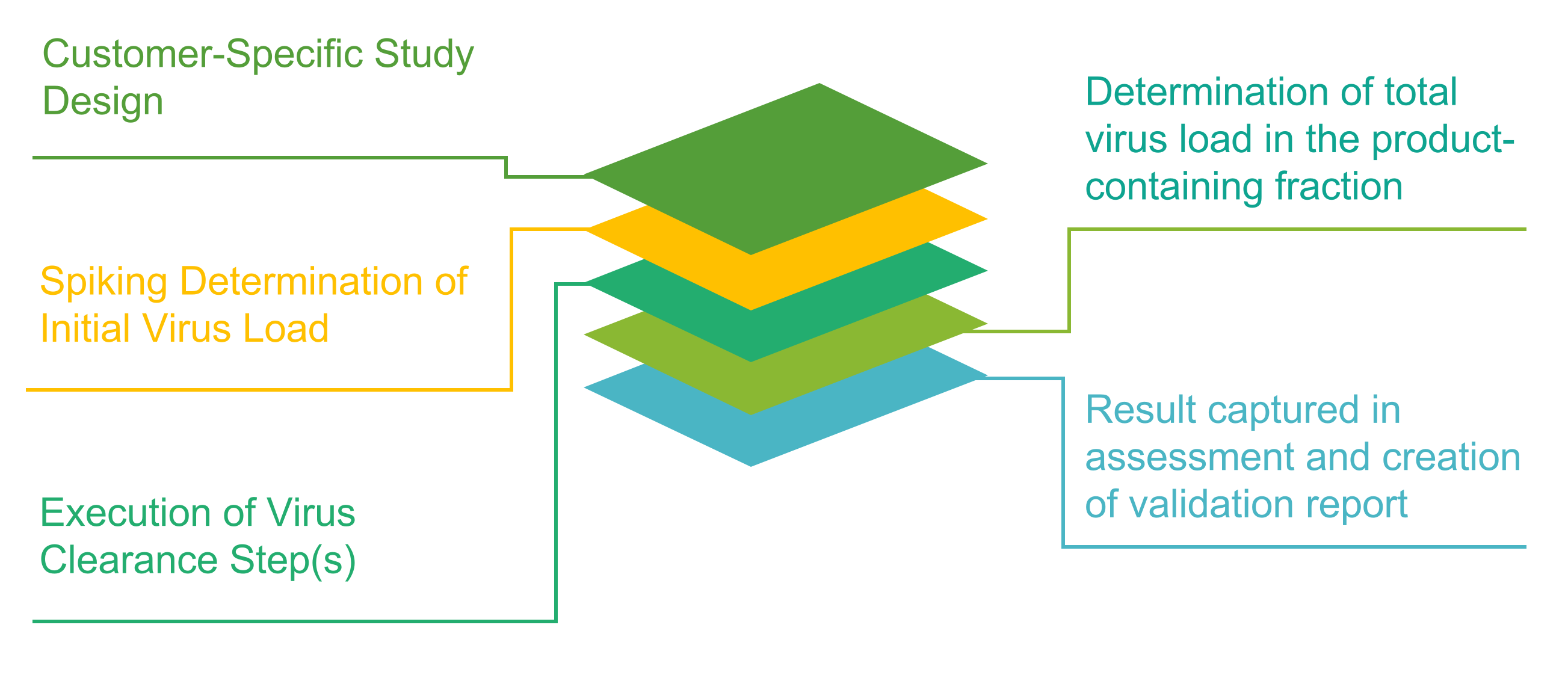 Five basic steps of virus clearance verification research