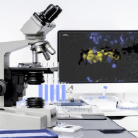 Filtration Analysis Services